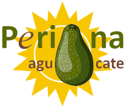 Comprar aguacates online